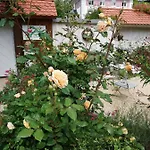 Bed and Breakfast Rosenliebe