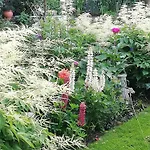 Bed and Breakfast Rosenliebe Niedereschach