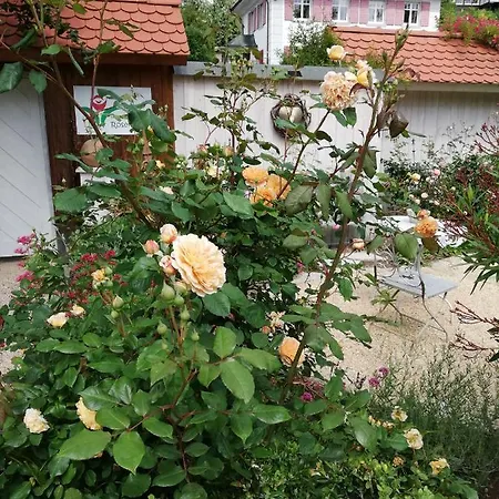 Bed & Breakfast Rosenliebe