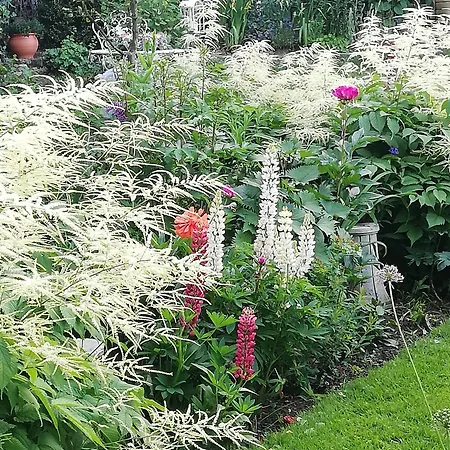 Bed and Breakfast Rosenliebe Niedereschach