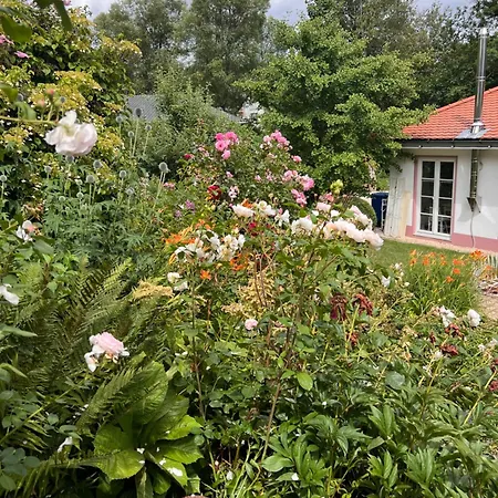 Rosenliebe Bed and Breakfast