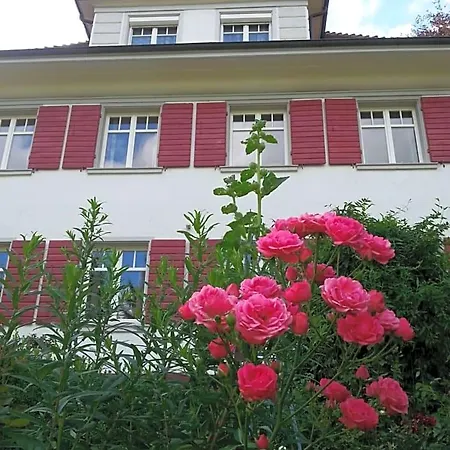 Rosenliebe Bed & Breakfast Niedereschach