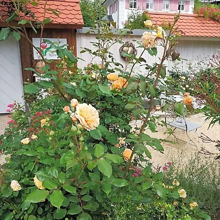Rosenliebe 3* Niedereschach