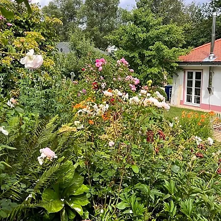 Rosenliebe Bed & Breakfast 3*