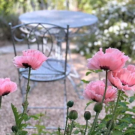 Bed & Breakfast Rosenliebe Niedereschach